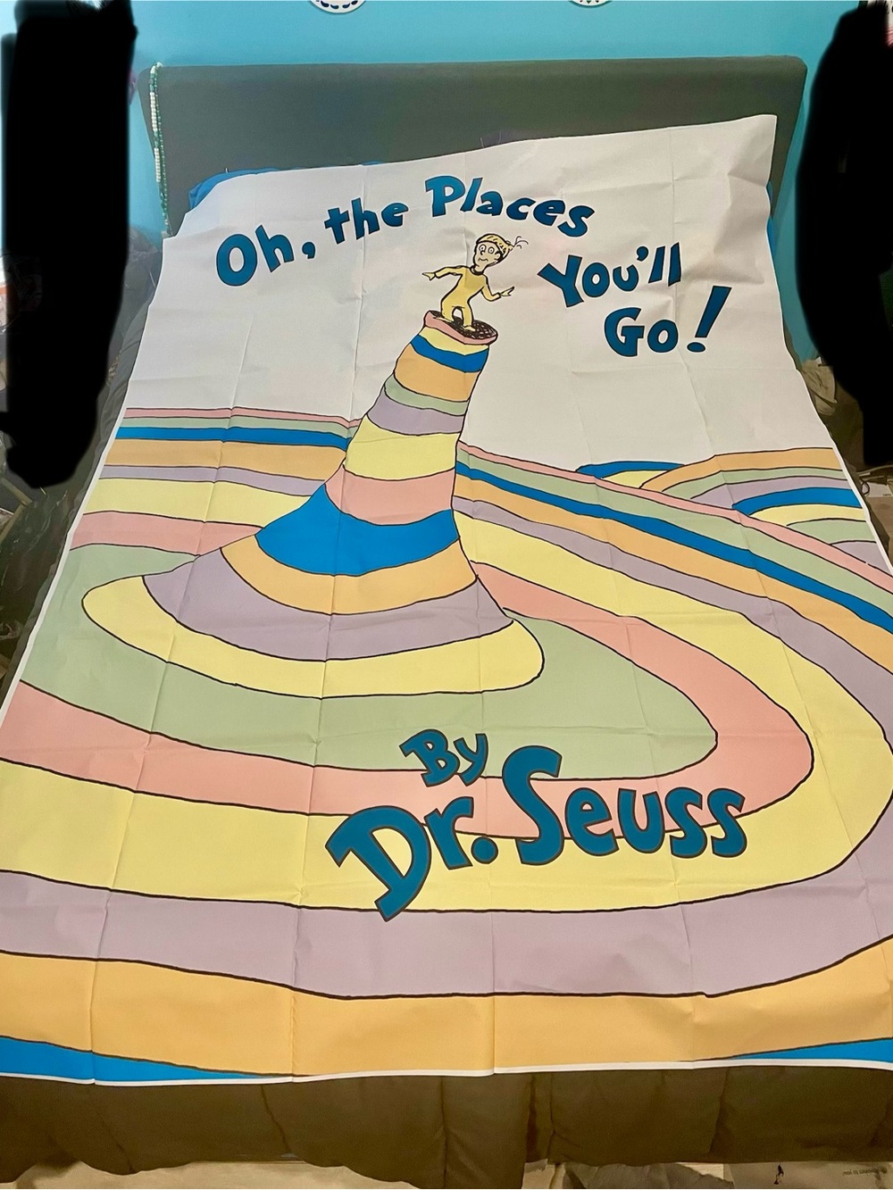 Dr. Seuss"Oh, the Places You'll Go!" Colorful Graduation Backdrop/Banner 5x7 NWT